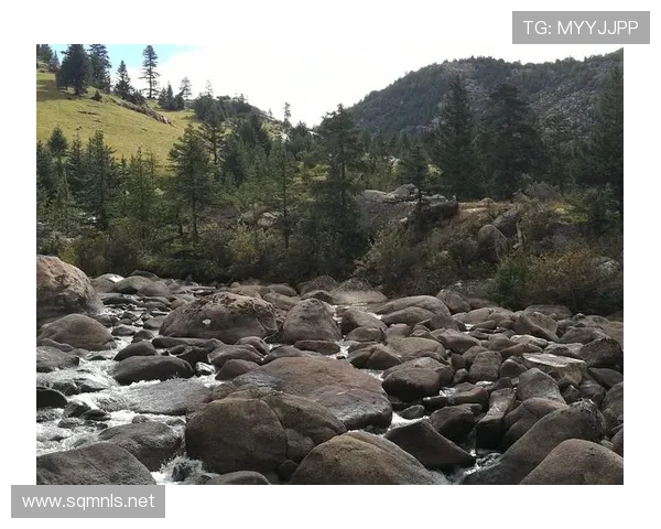 零点零九秒奇迹吴宇李琰见证历史